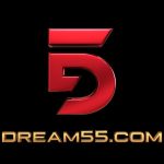Dream55 Game